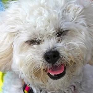 Meet your Posher, Liz